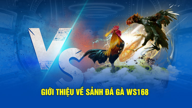 Đá Gà WS168